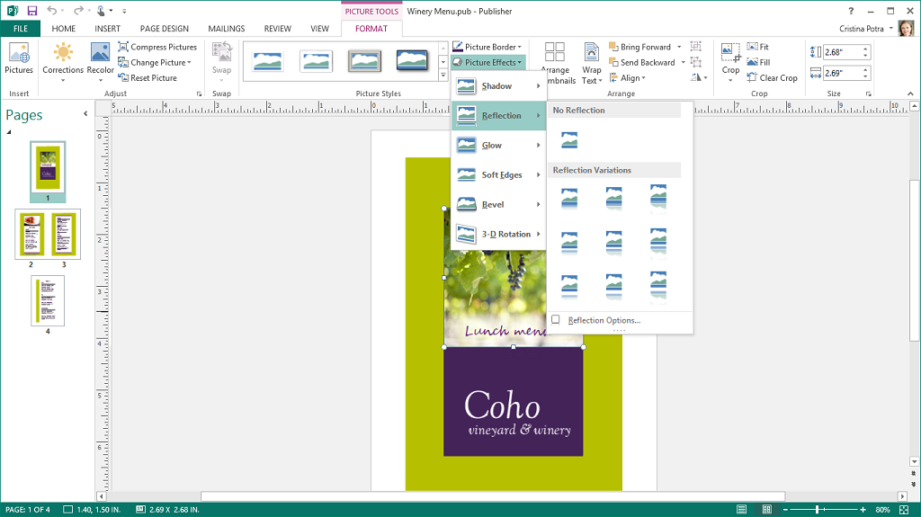 Microsoft office 365 with publisher